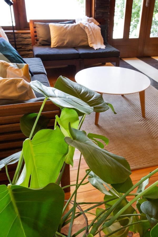River House Vasa Belgrado Buitenkant foto