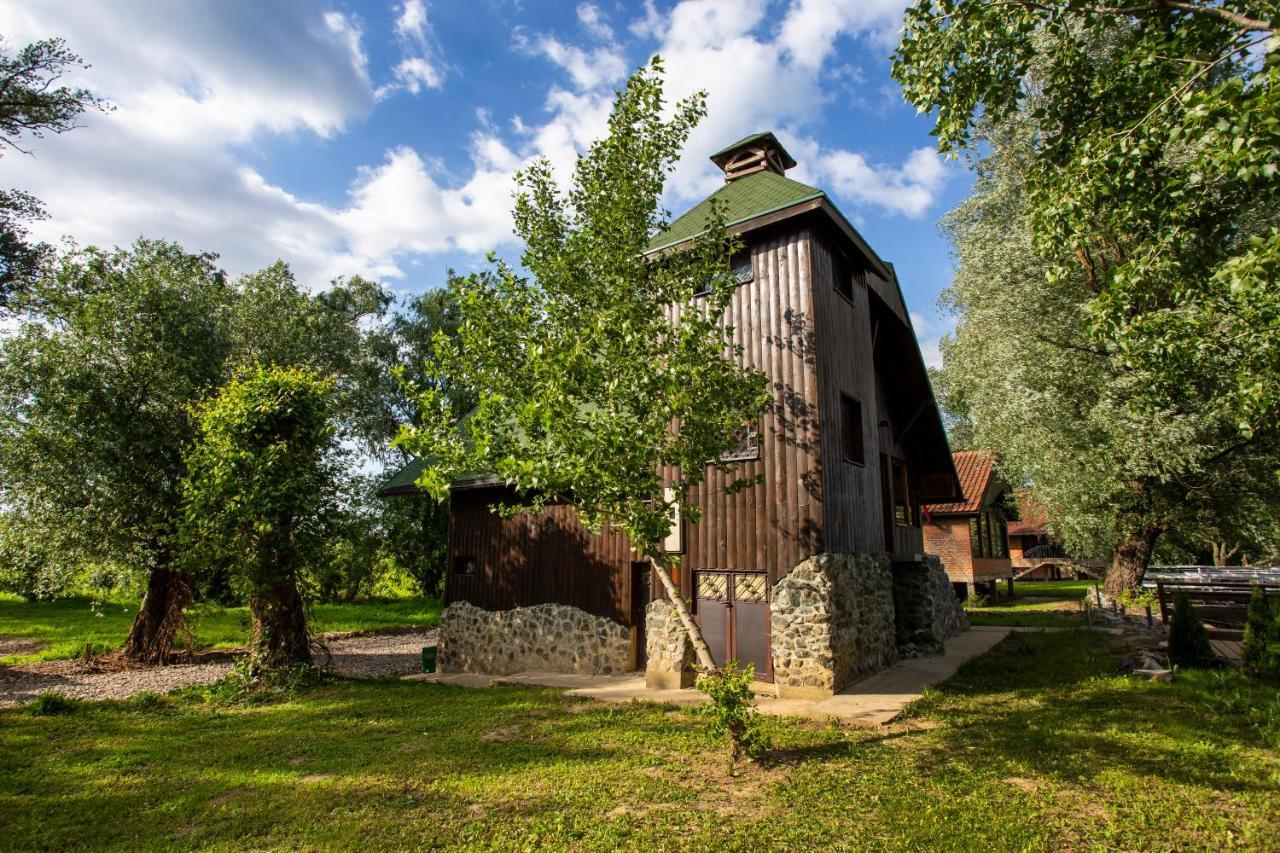 River House Vasa Belgrado Buitenkant foto